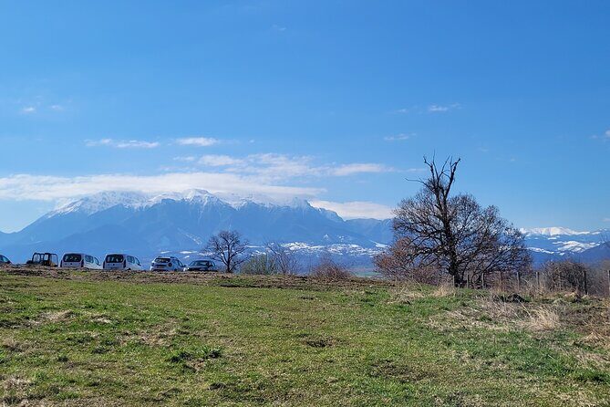 Bran Castle & Bear Sanctuary from Brasov - Optional Peles Castle - Final Thoughts