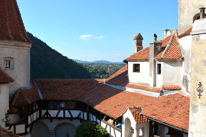 Bran Castle Entry Tickets - Who Should Consider This Experience?