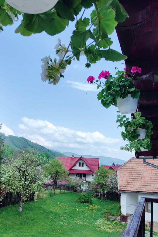 Bran: Rural Tour with Local Food & Accommodation in imon - Practical details: what’s included and what’s not