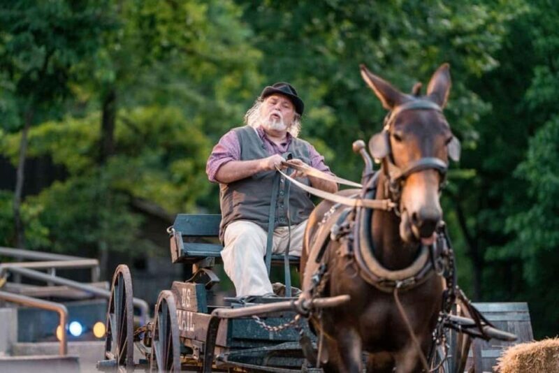 Branson: Chuckwagon Dinner Show and Outdoor Drama - Farm and Activity Area: A Relaxed Finish