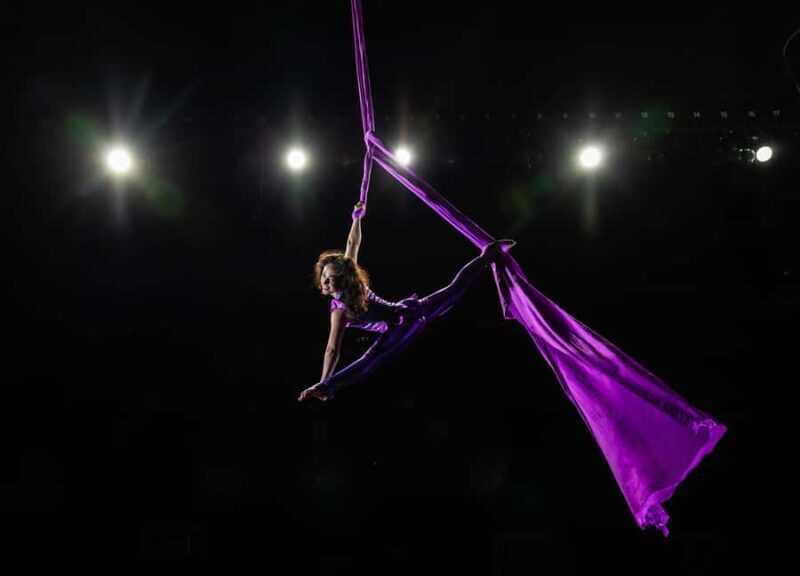 Branson: Hamners' Unbelievable Variety Show Entry Ticket - What Is the Hamners Unbelievable Variety Show?