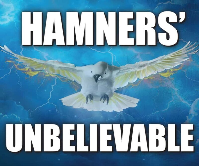 Branson: Hamners' Unbelievable Variety Show Entry Ticket - Authentic Feedback from Visitors