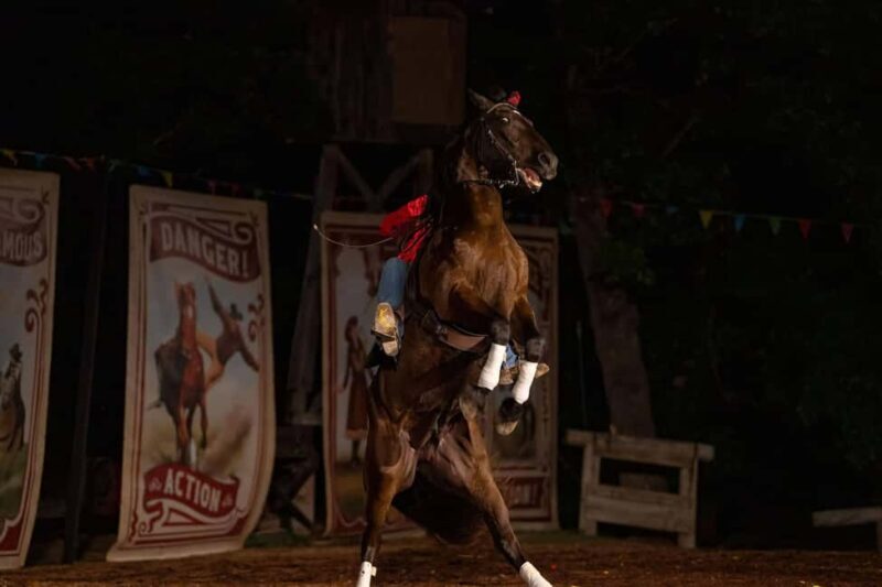 Branson: Shepherds Wild West Showdown - Is It Worth the Price?