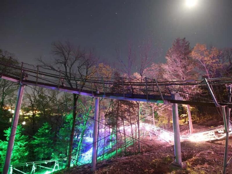 Branson: Thrilling Mountain Coaster Ride - The Ride: What You’ll Experience