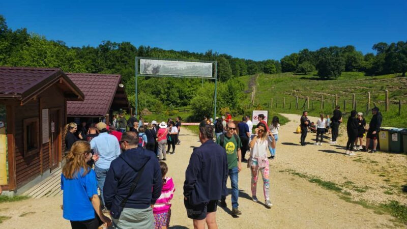 Braov: 3-Day Highlights of Transylvania Private Tour - The Experience: What Travelers Say