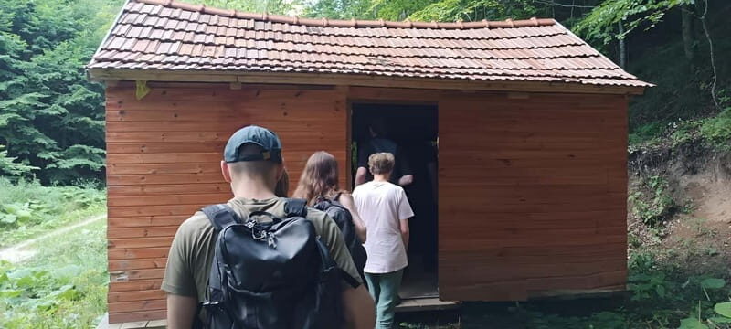 Braov: 4-Hour Bear Watching Tour in Carpathian Mountains - Summary