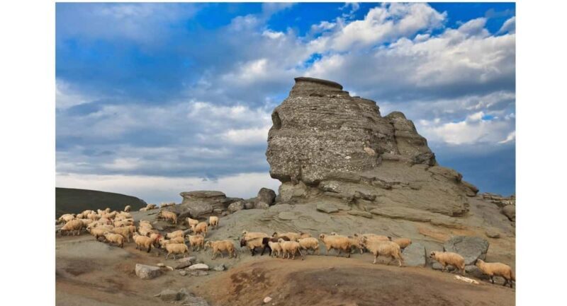 Braov: Carpathian Mountains Guided Hike with Pickup - Why This Hike Is Worth Considering