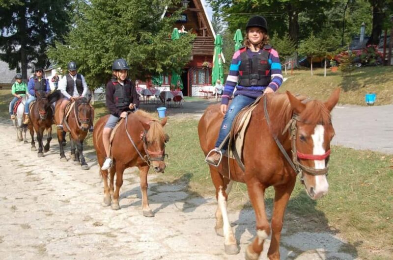 Braov: Horseback Riding Experience - Key Points