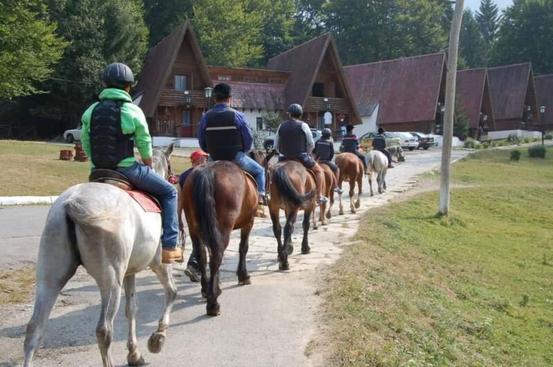 Braov: Horseback Riding Experience - Practical Details & Tips