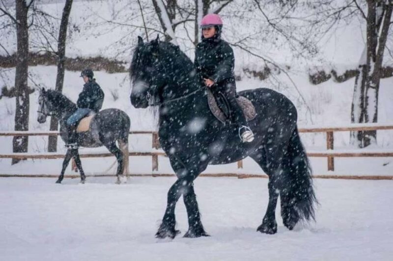 Braov: Horseback Riding Experience - Final Thoughts