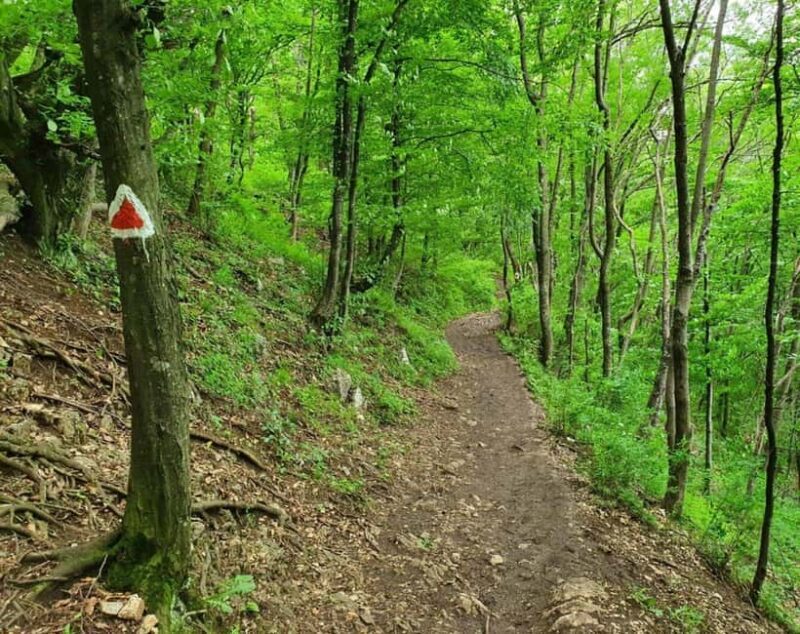 Braov in Focus: A Walking Tour, Hike & Photo Experience - Why This Tour Stands Out