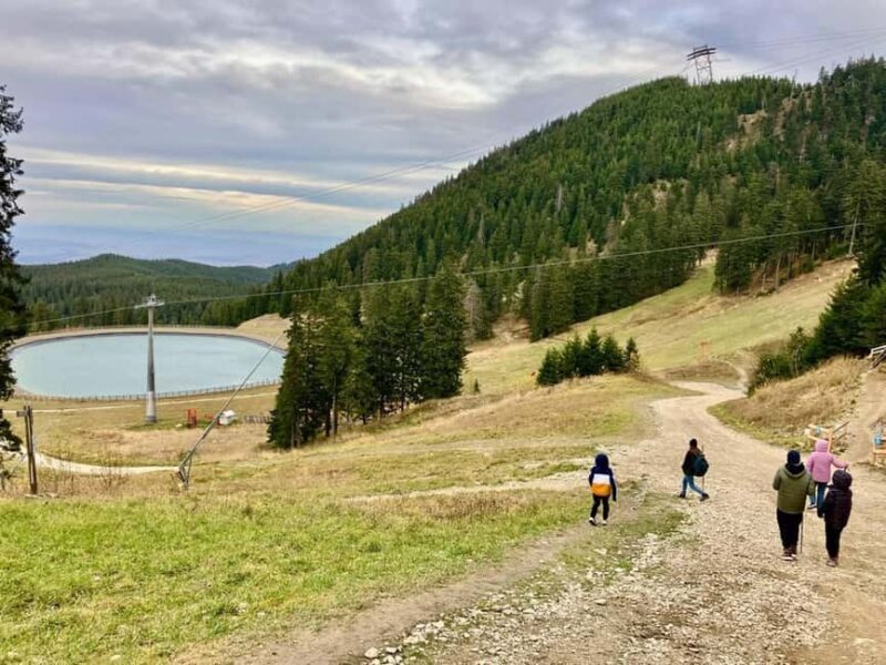 Braov: Milk Cave Guided Tour with Postvarul Hut Visit - What is the Tour All About?