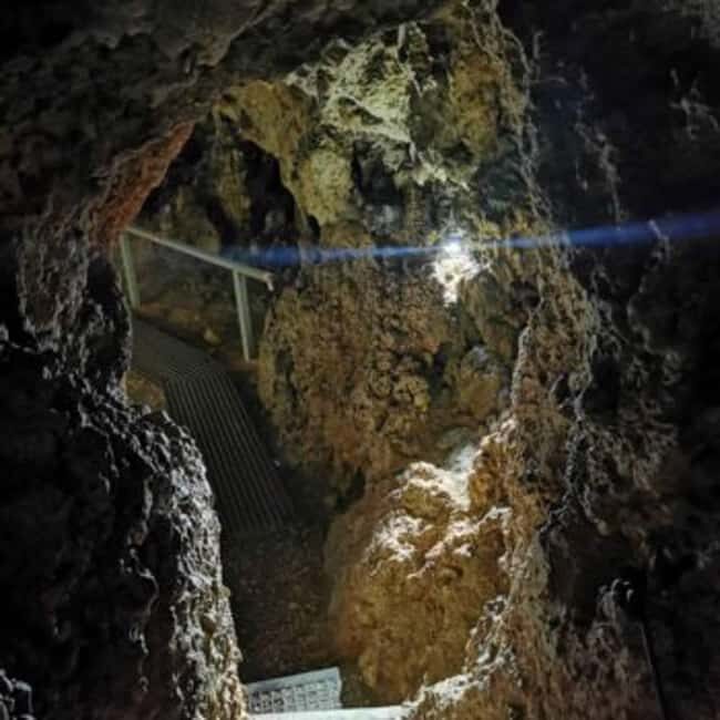 Braov: Peles, Bran, Rasnov, & Valea Cetatii Day Trip - Who Will Love This Tour?