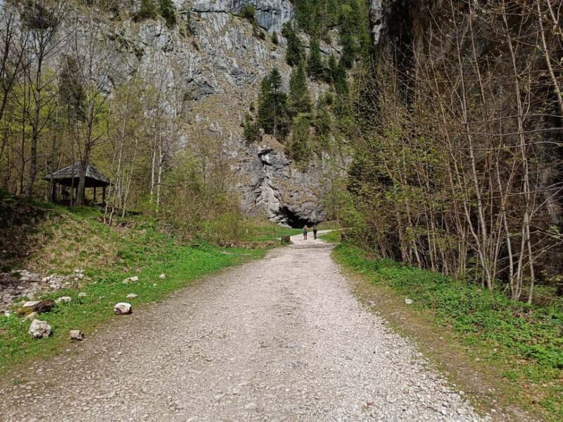Braov: Private Piatra Craiului Hike to Curmatura Cabin - What to Expect from the Hike