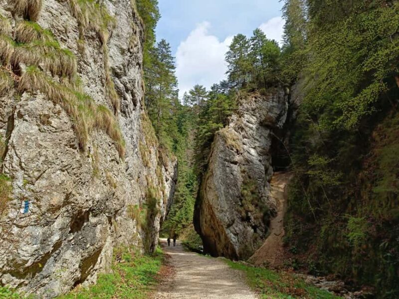 Braov: Private Piatra Craiului Hike to Curmatura Cabin - The Practical Aspects