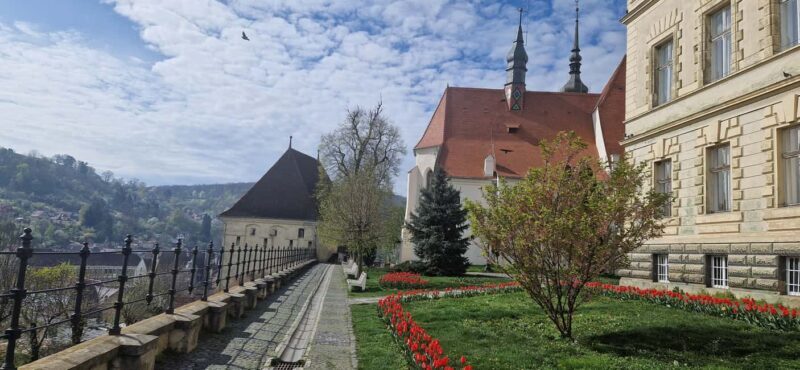 Braov: Sighioara, Saschiz & Viscri UNESCO Day Trip - Who Is This Tour Best Suited For?
