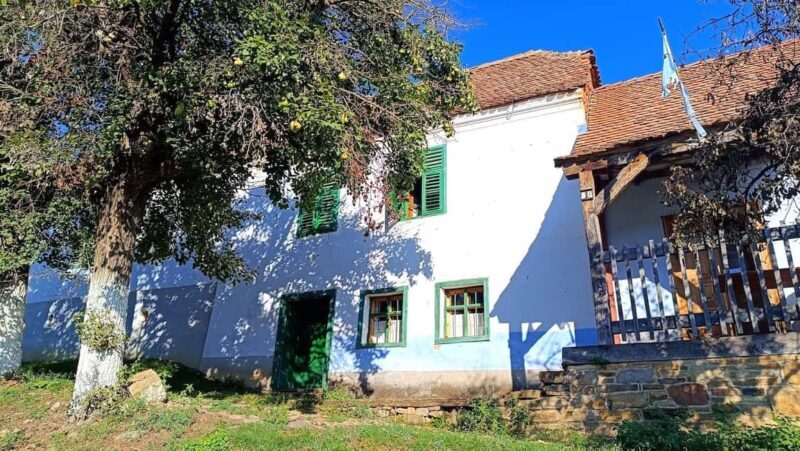 Braov  Viscri  Sighioara Day Trip - Who Will Love This Tour?