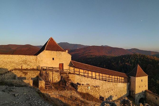 Brasov: Bear Sanctuary, Bran Castle & Rasnov Fortress GUIDED Tour - Is This Tour Right for You?