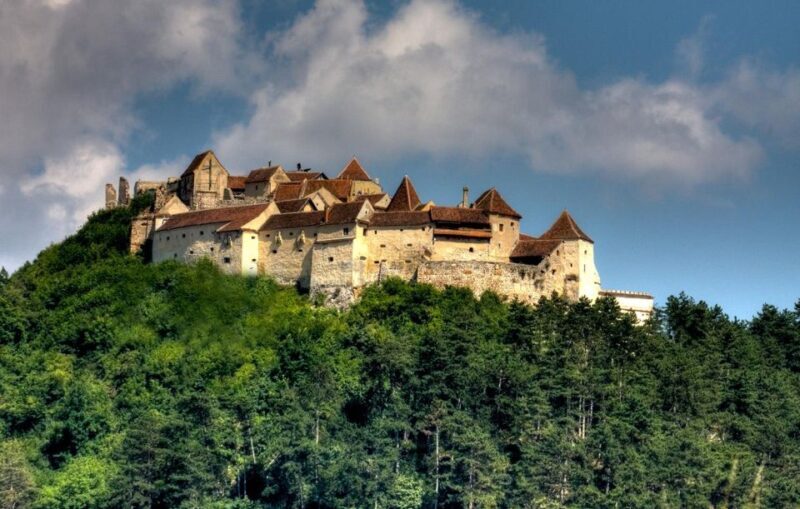 Brasov: Bear Sanctuary, Dracula Castle, and Rânov Fortress - What to Expect on This Tour