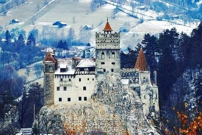 Brasov: Bears Sanctuary, Rasnov Fortress, Bran Castle GUIDED Tour - A Closer Look at What You’ll Experience