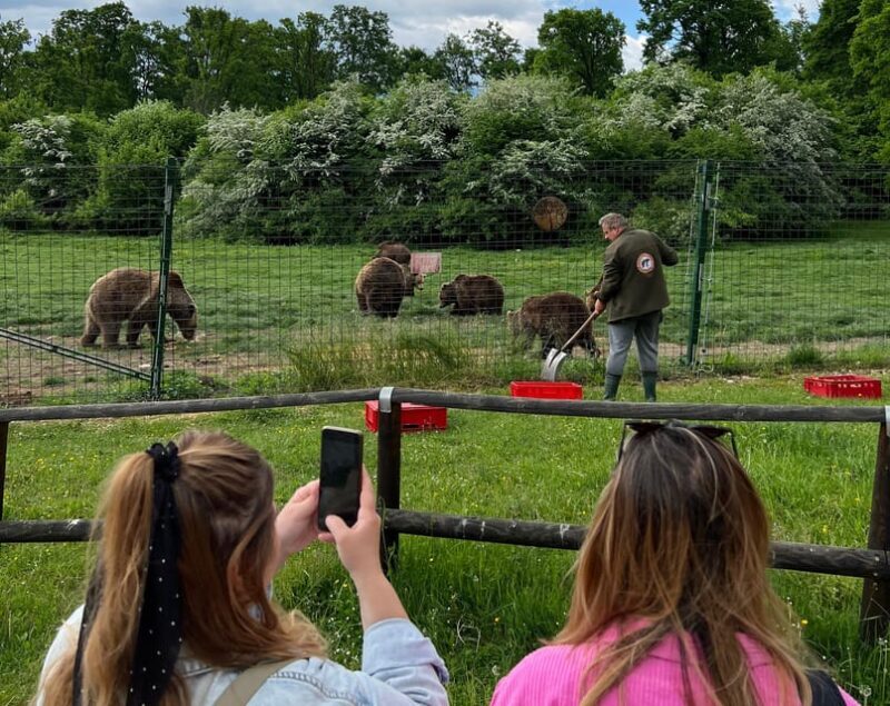 Brasov: Bran Castle, Bear Sanctuary, Rasnov (Peles Optional) - A Closer Look at the Itinerary