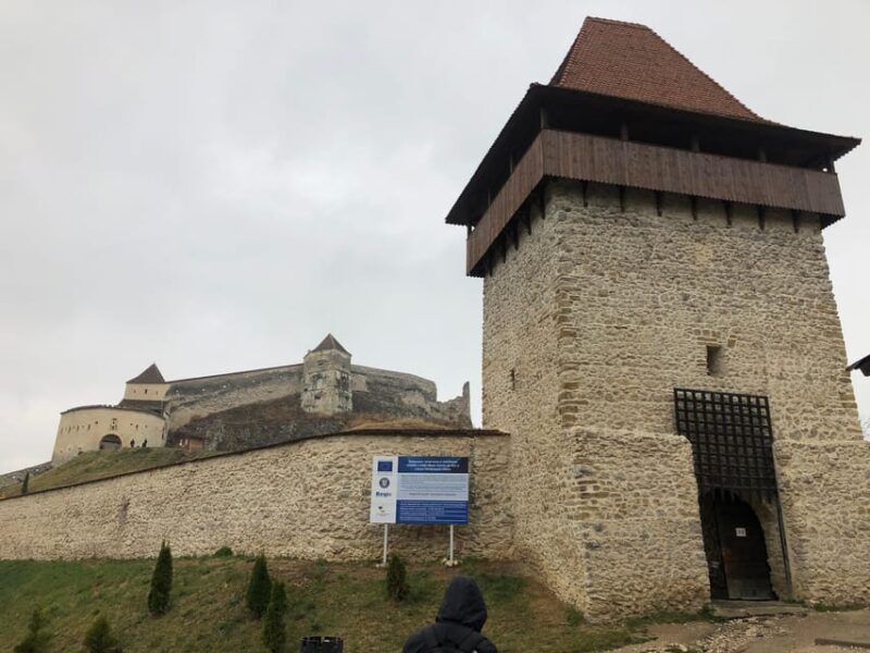 Brasov: Bran Castle, Bear Sanctuary, Rasnov (Peles Optional) - Who Is This Tour Best For?