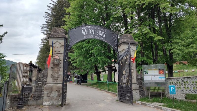 Brasov: Bran, Peles and Cantacuzino Castles Day Tour - An In-Depth Look at the Tour