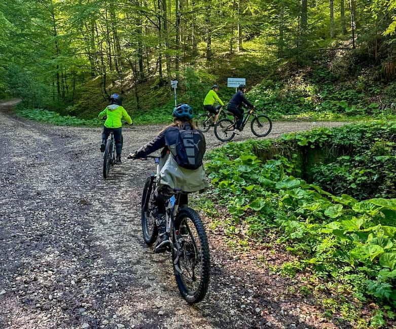 Brasov: eBike Tour to Poiana Brasov (Old Town & Forest) - A Closer Look at the Brasov eBike Tour to Poiana Brasov