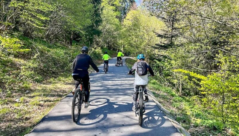 Brasov: eBike Tour to Poiana Brasov (Old Town & Forest) - Who Will Love This Tour?