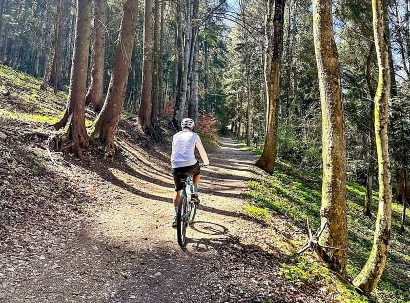 Brasov: eBike Tour to Poiana Brasov (Old Town & Forest) - Final Thoughts