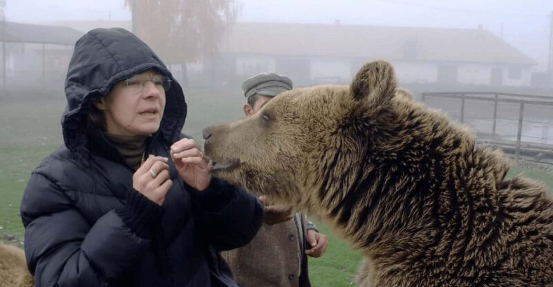 Brasov: Libearty Bear Sanctuary - Key Points