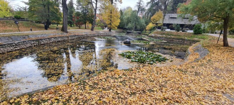 Brasov: Peles Castle, Bran Castle & Belvedere Viewpoint - An In-Depth Look at the Experience