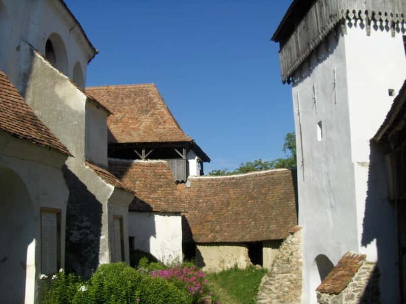 Brasov: Saxon Fortified Churches Day Tour with Guide - What to Expect from the Saxon Fortified Churches Tour