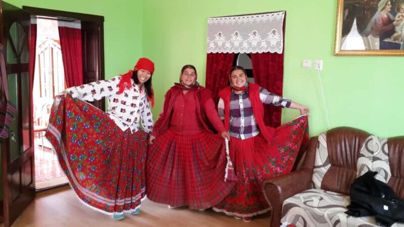 Brasov: Sighisoara, Biertan & Romani Culture Guided Tour - Key Points