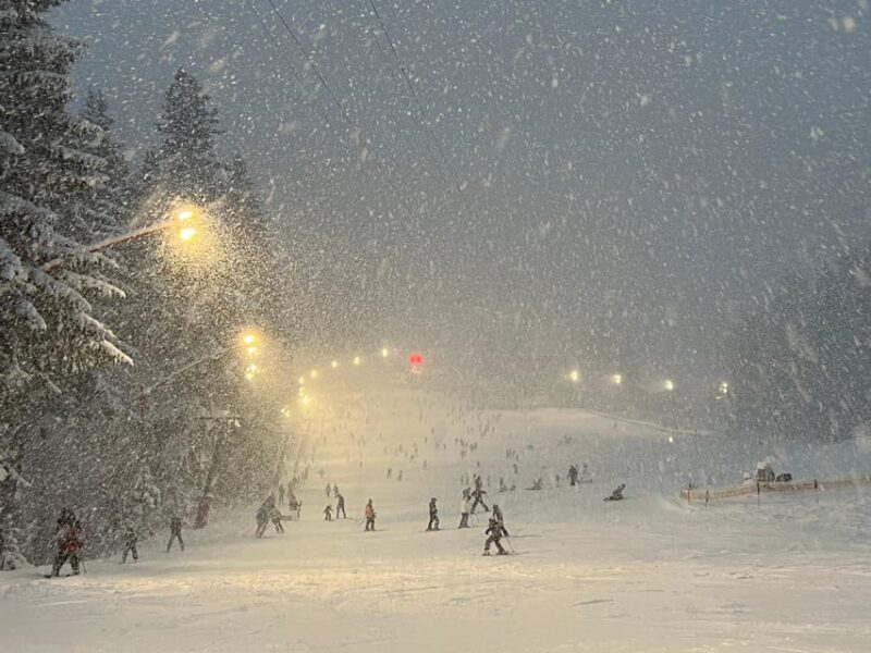 Brasov: Ski Lessons Day Trip For All Ages And Levels - Who Is This Tour Best For?