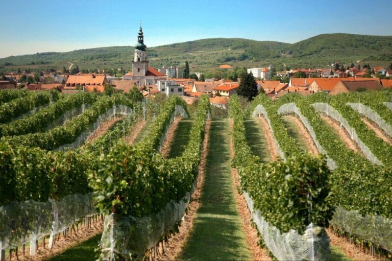 Bratislava: 6,5-Hour Carpathian Wine Tour and Tasting - Exploring the Bratislava: 6.5-Hour Carpathian Wine Tour and Tasting