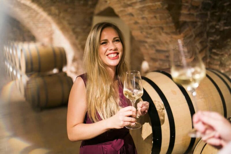 Bratislava: Devin Castle and Wine Tasting Private Tour - Why We Think This Tour is Worth It