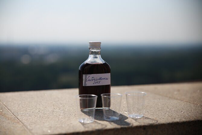 Bratislava Foodie Tour - Who Should Consider This Tour?