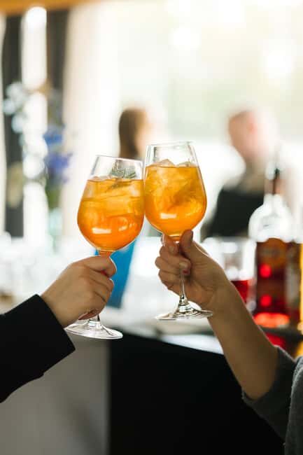 Bratislava: Gourmet Goose Dinner with Cruise on Danube - An In-Depth Look at the Experience