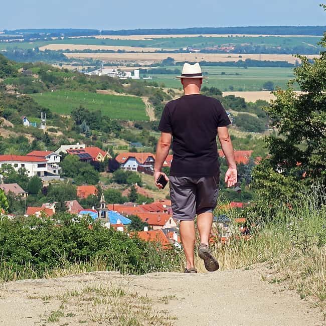 Bratislava: Vineyard Walk and Wine Picnic with Winemaker - Who Is This Tour Best For?