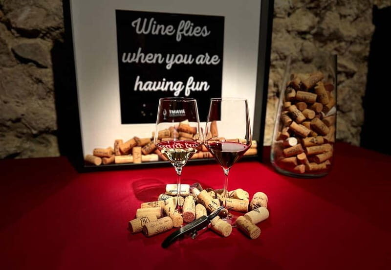 Bratislava: Wine Tasting Experience in the Dark - Final Thoughts