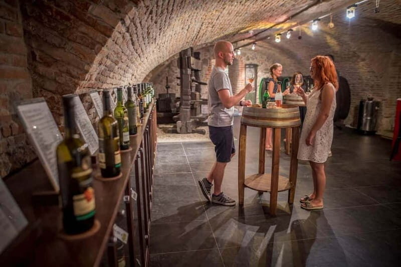 Bratislava: Wine Tasting with Sommelier - What You Can Expect During the Tour
