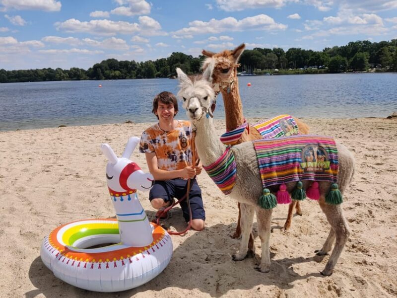 Braunschweig: Alpaca Trekking Tour - Final Thoughts