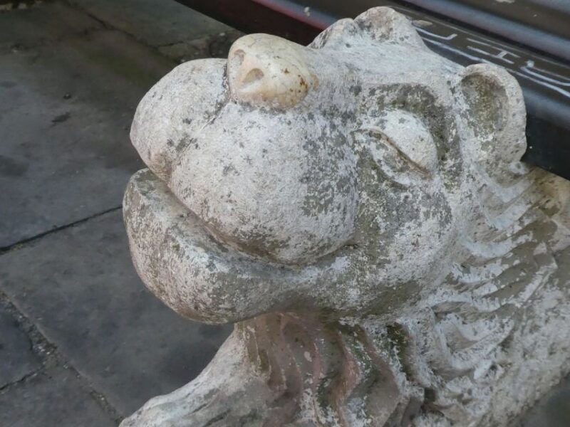 Braunschweig: Historischer Stadtrundgang mit zert. Guide - Practical Details and what to keep in mind