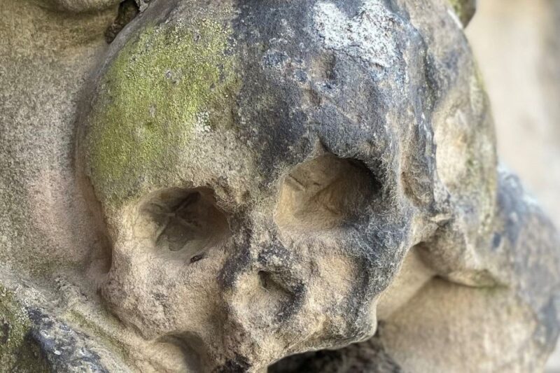 Braunschweig: Von Vampiren und Spukgestalten - What Reviewers Say