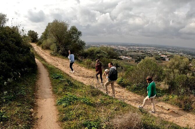Bread, Wine&Cheese, The Natural Taste - An In-Depth Look at the Tour
