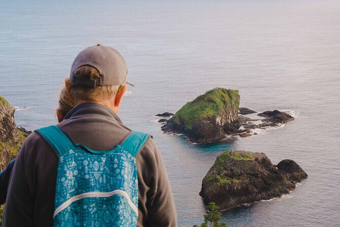 Breakfast Bushwalk & Clifftop BBQ Tour - What the Tour Entails