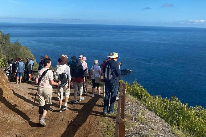 Breakfast Bushwalk & Clifftop BBQ Tour - What Travelers Say