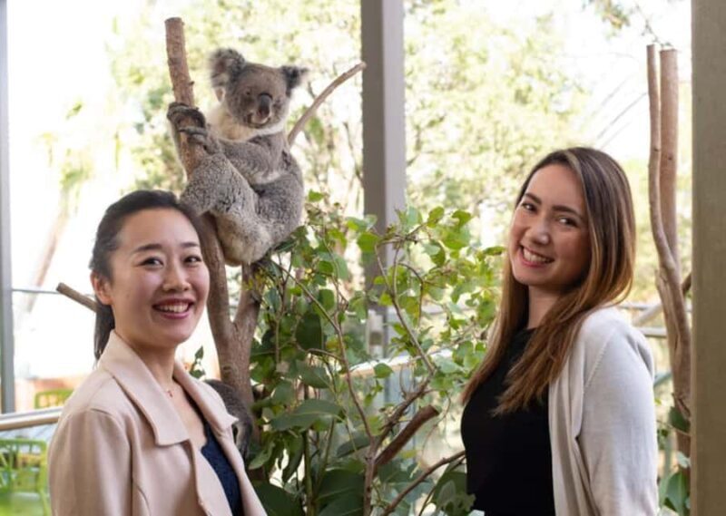 Breakfast with Koalas at WILD LIFE Zoo Darling Harbour - The Experience Breakdown
