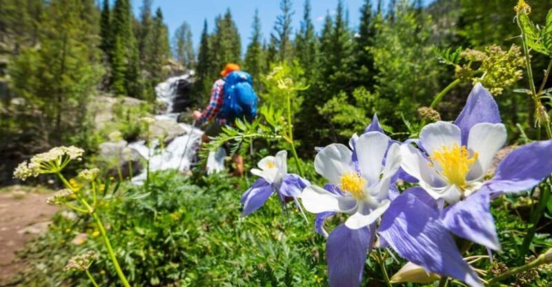 Breckenridge, CO: Half-Day Guided Scenic Hike - Key Points